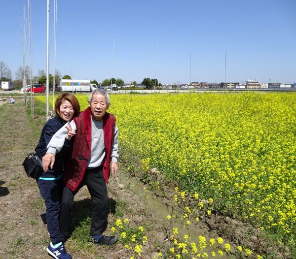 菜の花も綺麗に咲いていました❀